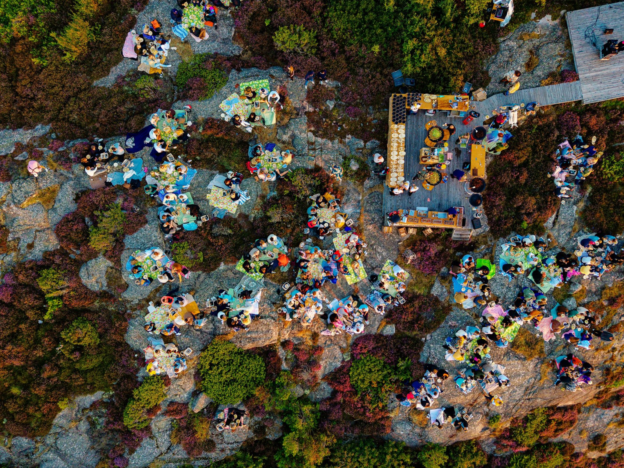 062 Liwlig WowPow 2025 1