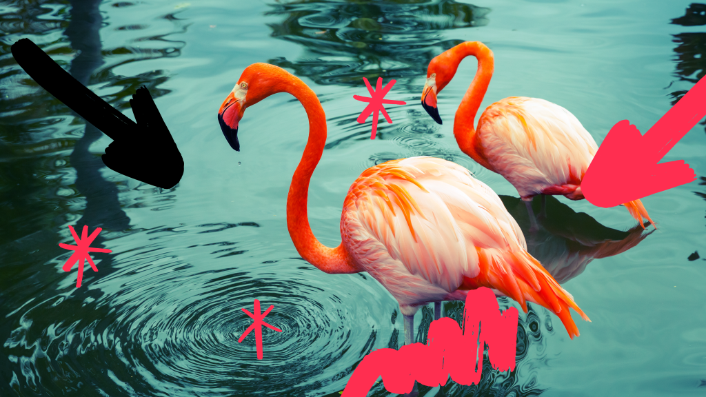 Banneri verkkosivulle Blogi 1