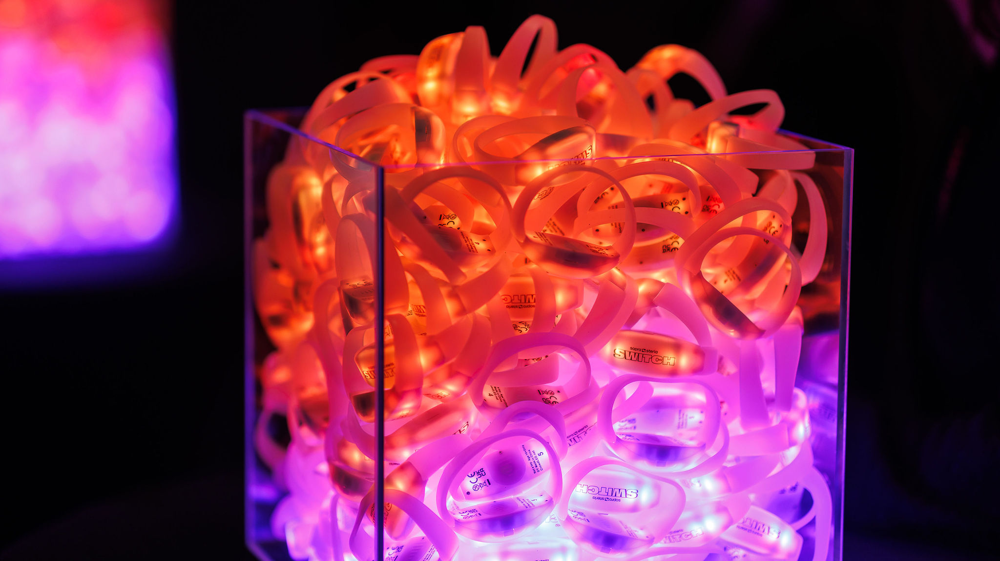 SWITCH Sopra Steria Kick Off 2025 7