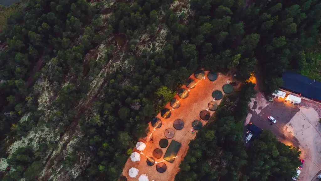 liwlig tapaus case employee events rovio burning nest 2 003